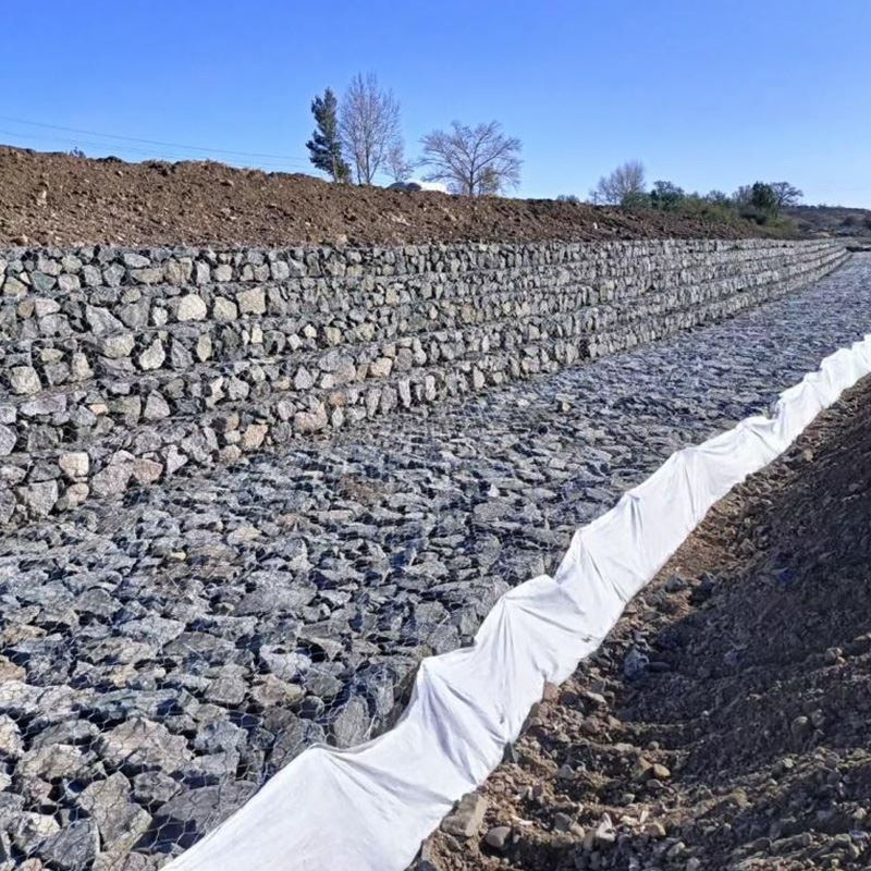 Philippines Double Twisted Gabion Wire Mesh